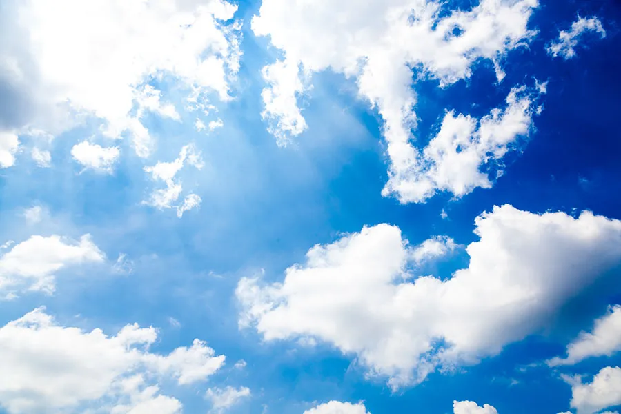 Sky 309