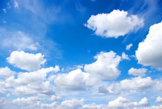 Sky 206