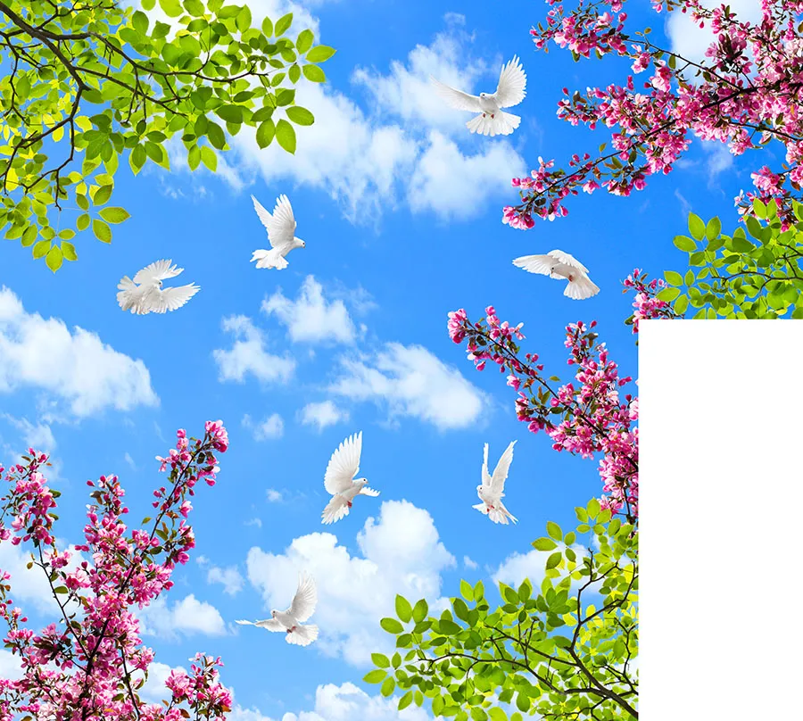 Sky 328