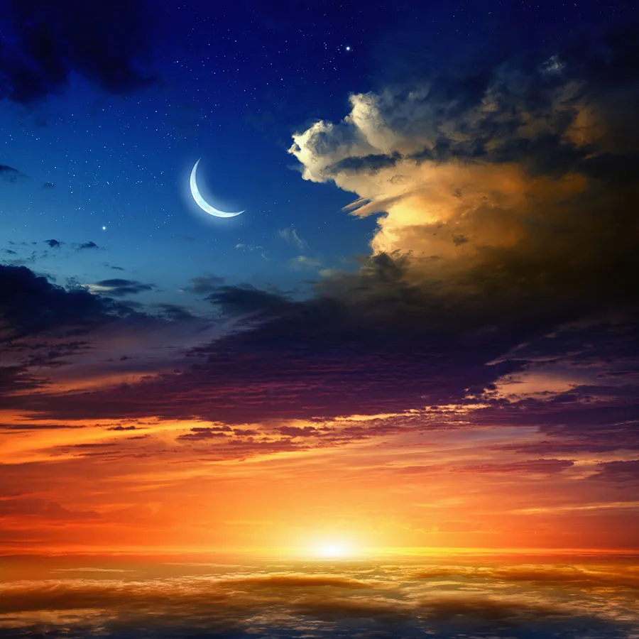 Sky 312