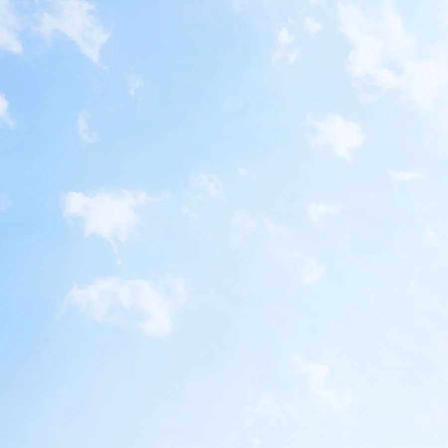 Sky 310
