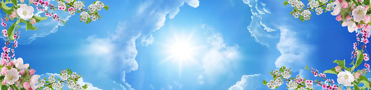 Sky 300a