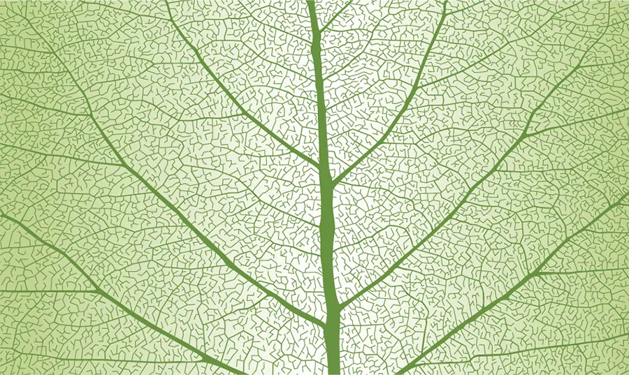 Texture 100