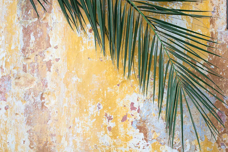 Texture 078