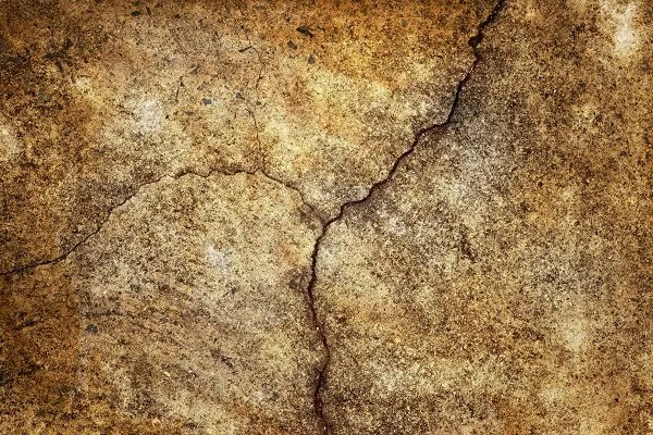 Texture 019