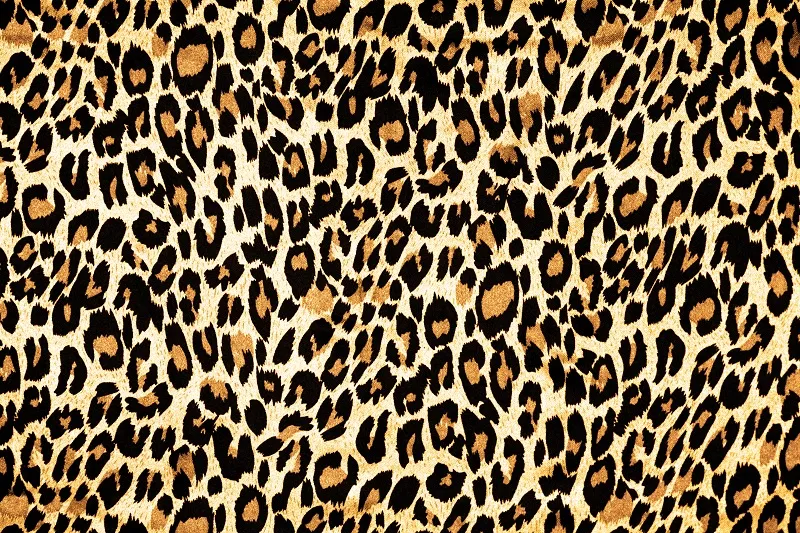 Texture 043
