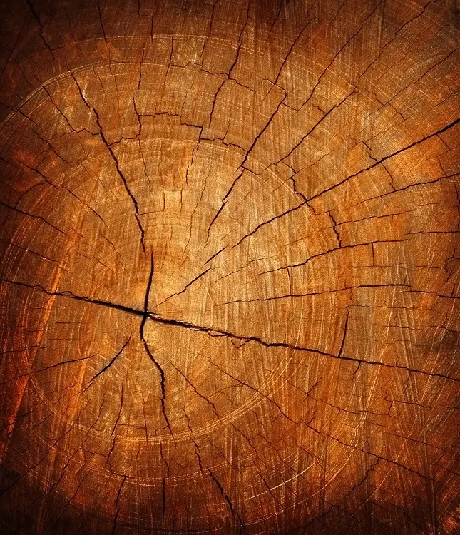 Texture 024