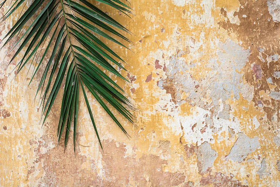 Texture 077
