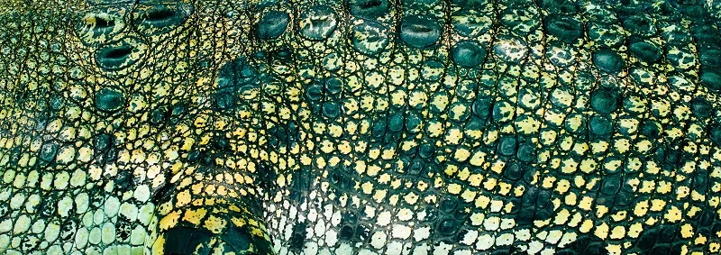 Texture 048