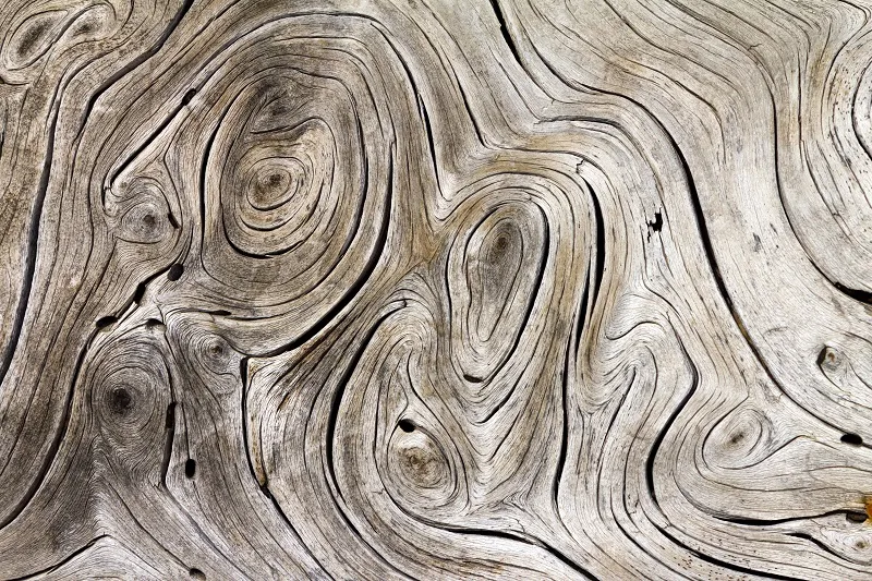 Texture 023