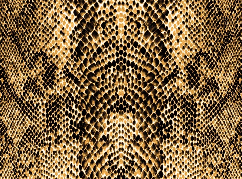 Texture 041