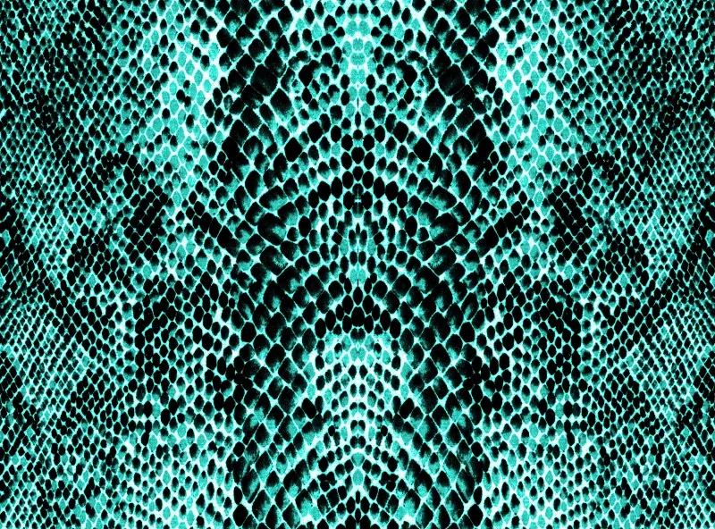 Texture 042
