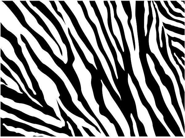 Texture 001