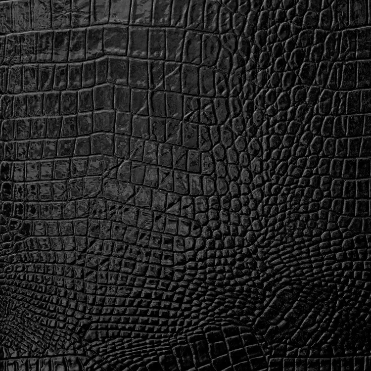 Texture 037