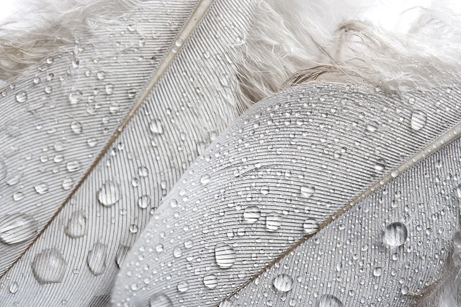 Texture 084