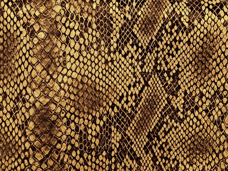 Texture 005