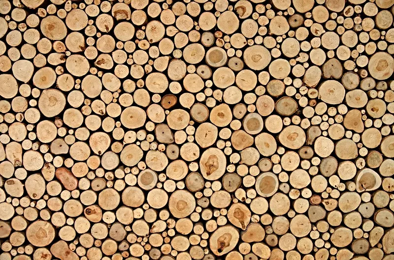 Texture 022