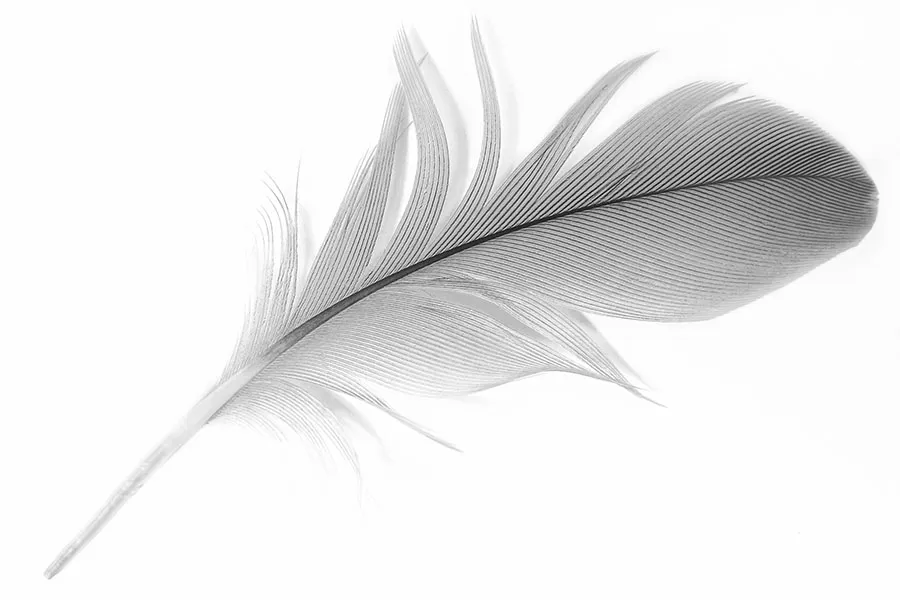 Texture 099