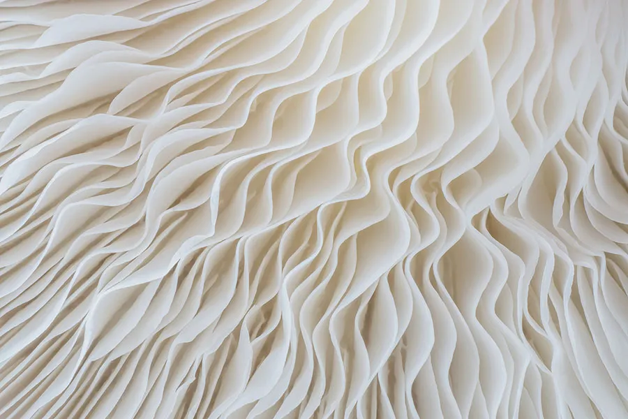 Texture 097