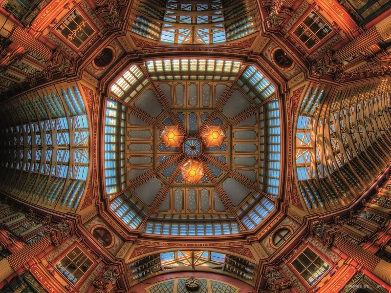 View up 037
