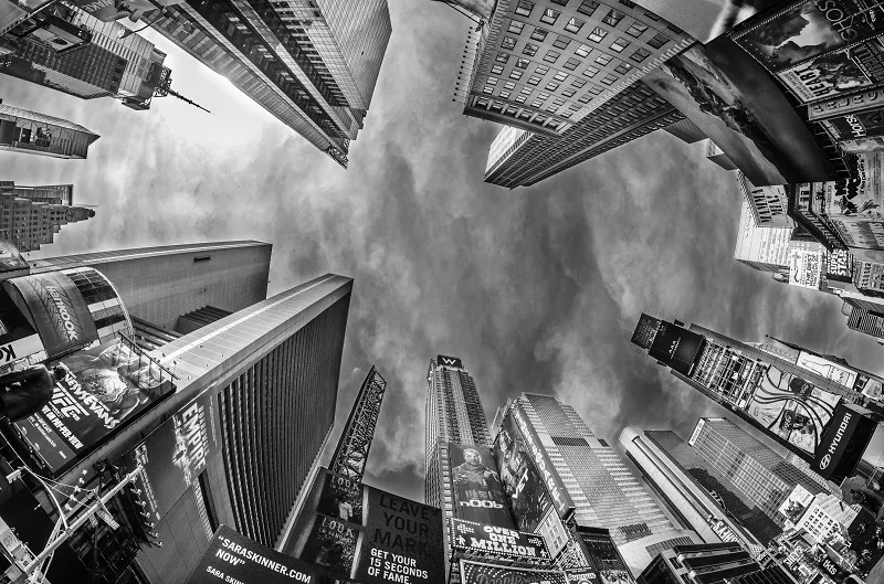 View up 024