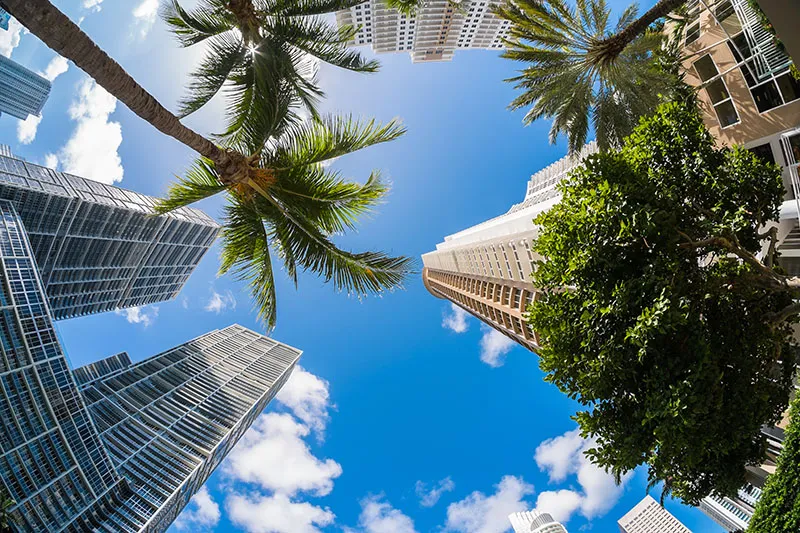 View up 051