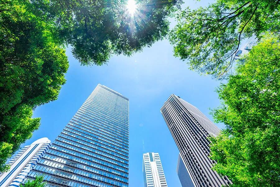 View up 057
