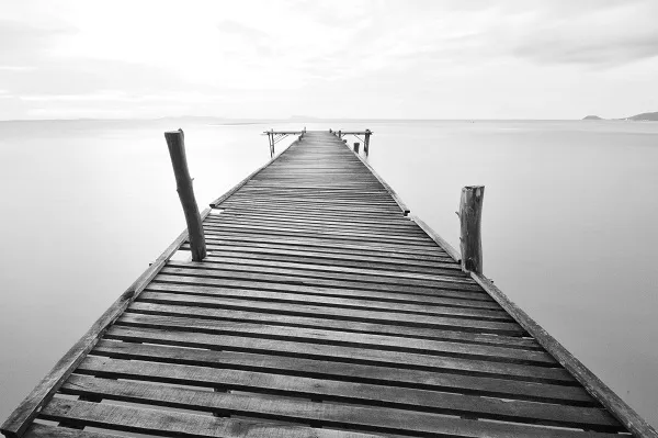 Black white 031