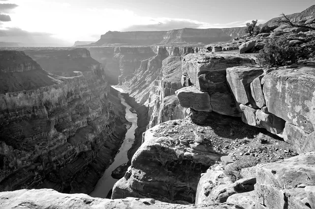 Black white 045