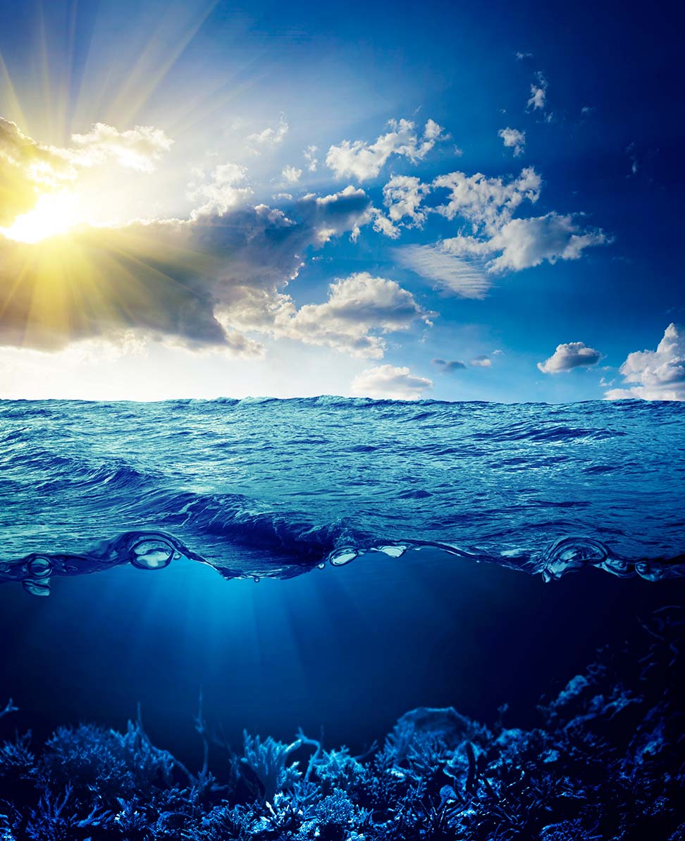 Sea 198