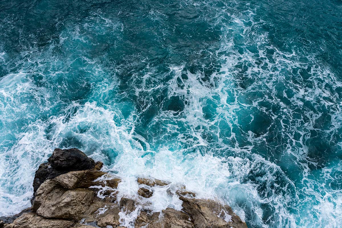 Sea 216