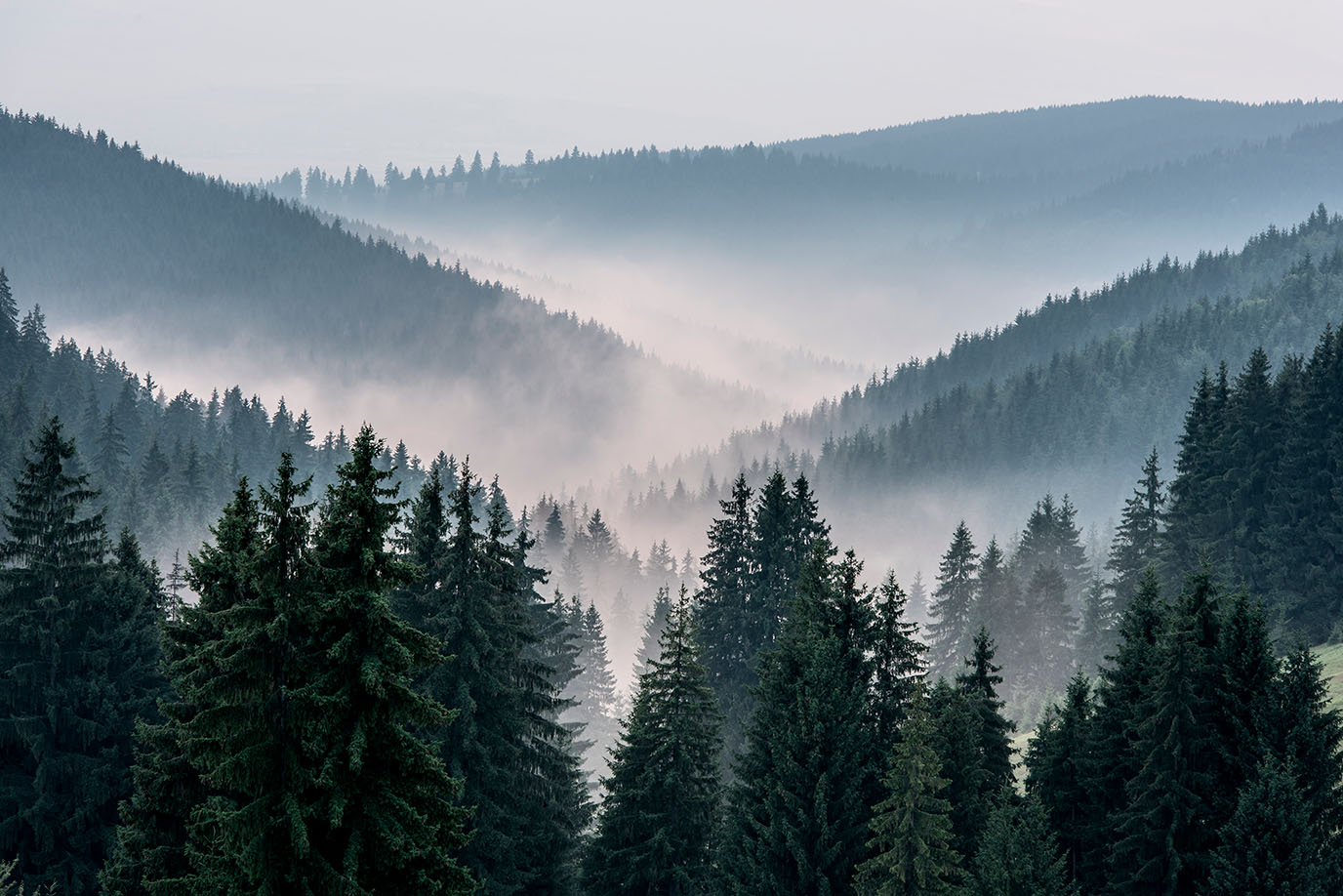 Landscape 174