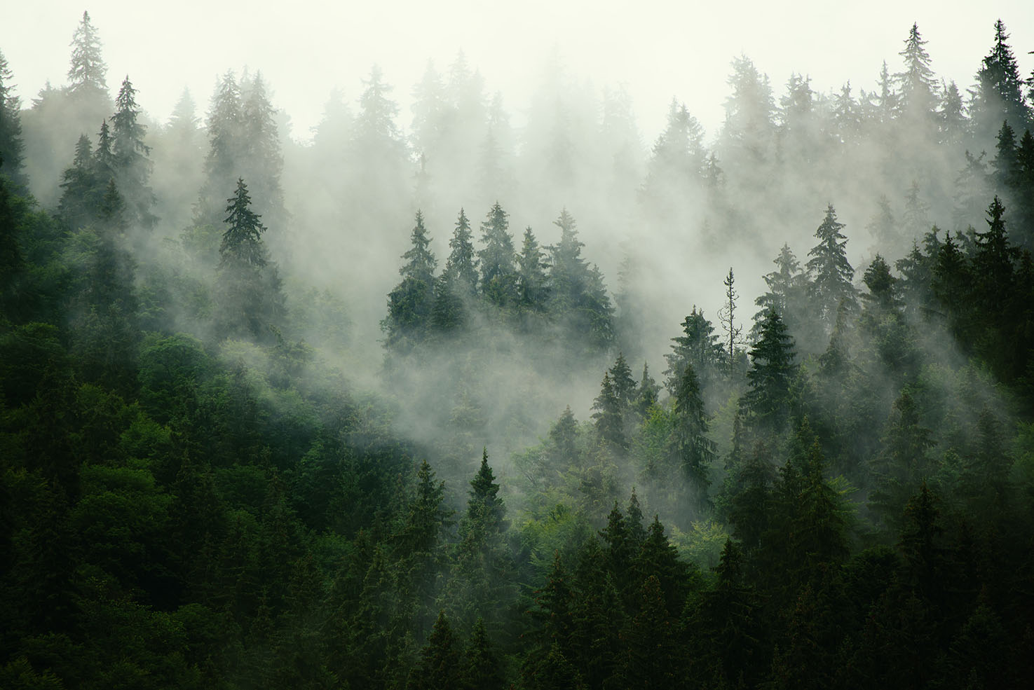 Landscape 176