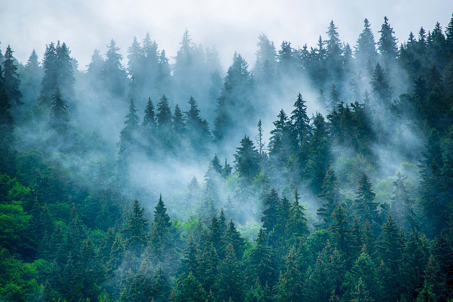 Landscape 177