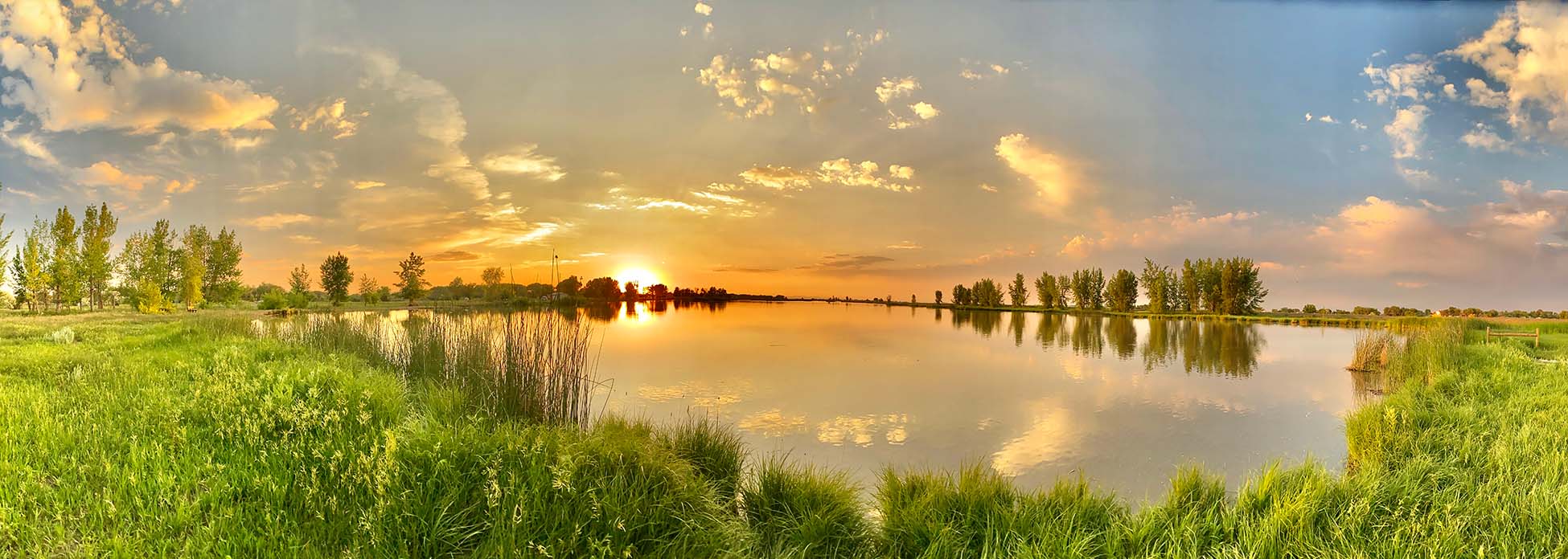 Landscape