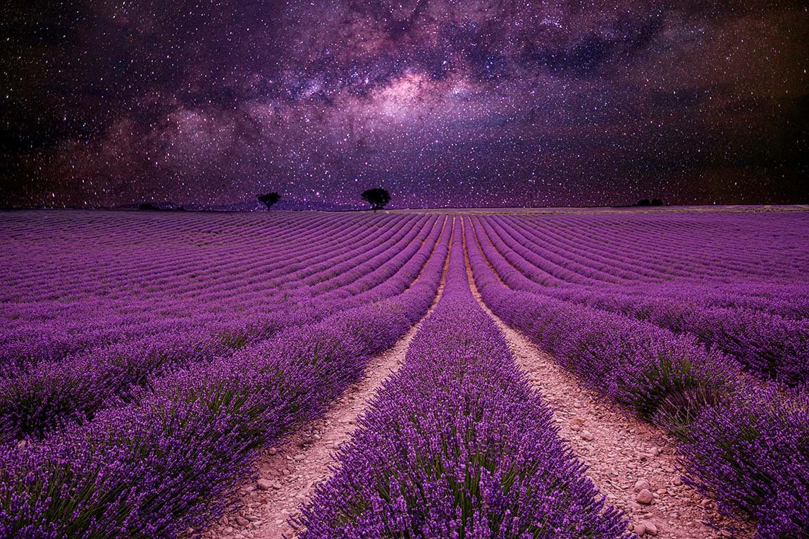 Landscape 200