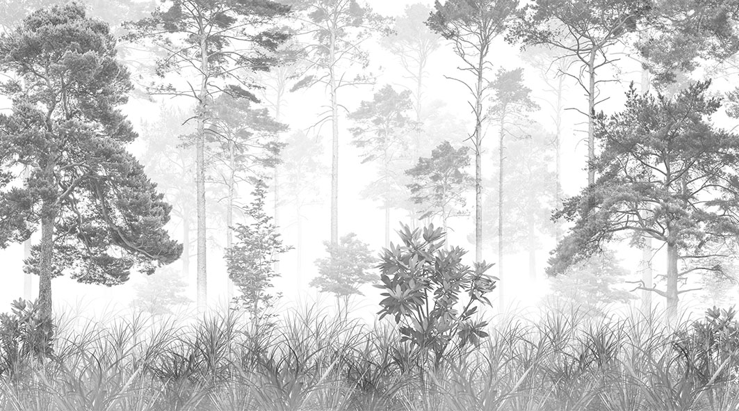 Fresco 054 — forest wallpaper, fresco design, grey wallpaper, white wallpaper, minimalist wallpaper, nature wallpaper, silhouette wallpaper, simple lines wallpaper, horizontal wallpaper, wood texture