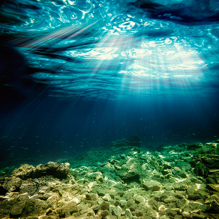 Sea 194