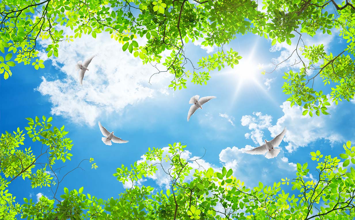 Nature 203